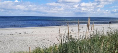 Der nächste gemeinsame Urlaub für Demenz betroffene und Partner*in ist geplant! Es geht ins Ostseebad Graal Müritz